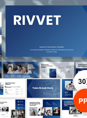 高级感蓝色商务企业公司简介项目管理提案策划PPT模板