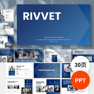高级感蓝色商务企业公司简介项目管理提案策划PPT模板