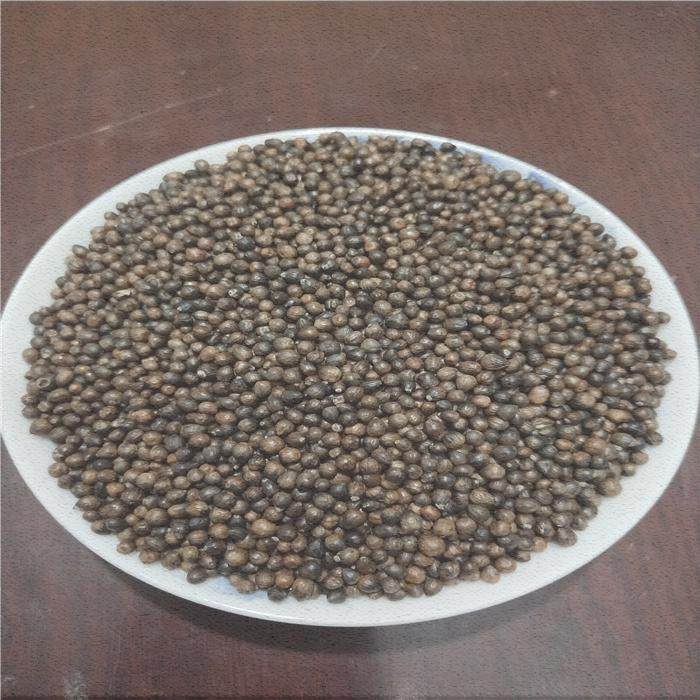 黄荆子干货新品枕头填充物枕芯布惊仁黄金子荆棵荆种子500g克包邮