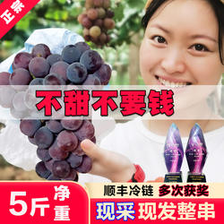 句容丁庄巨峰葡萄新鲜水果包邮 孕妇整箱整串飓风5斤当季现摘特甜