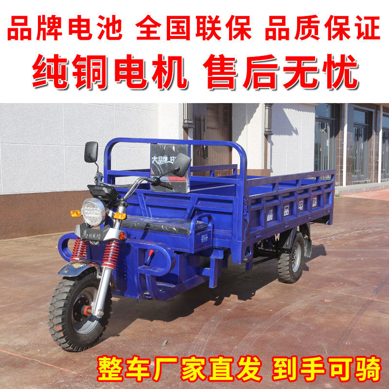 电动车三轮大功率家用载重王货运拉货电瓶三轮工程建筑快递车