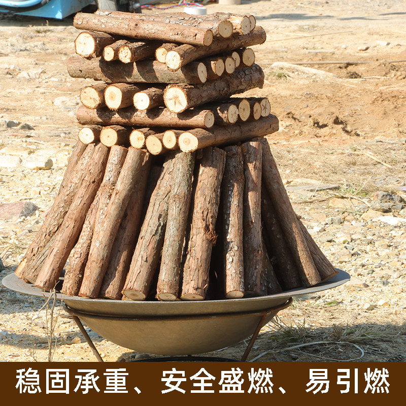 篝火杉树枝木柴易燃露营野餐燃具