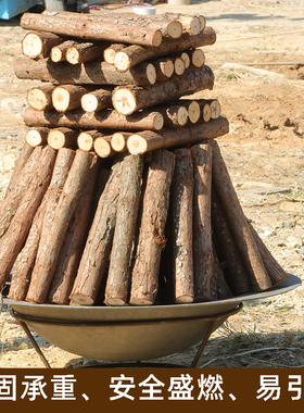 杉树枝木柴易燃露营野餐燃具篝火柴户外聚会旅行团建烧烤民宿摆件
