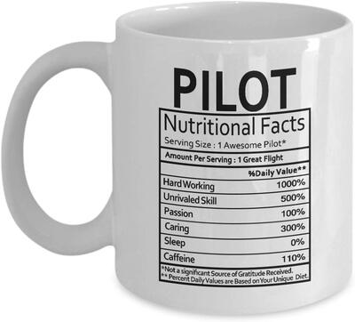ins网红美式创意飞行员Pilot Nutritional Facts陶瓷咖啡马克杯