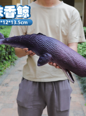 大号软胶海底世界动物模型抹香鲸鲸鱼鲨鱼柠檬鲨海狮海豚儿童玩具