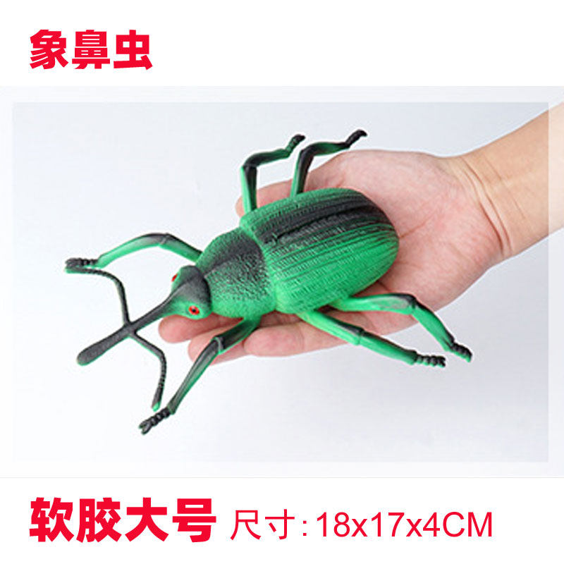 大号软胶仿真象鼻虫玩具象甲虫竹甲虫模型昆虫认知教学男孩公仔