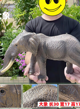 仿真大象非洲象玩具大号软胶充棉软橡胶塑胶野生动物模型儿童玩偶