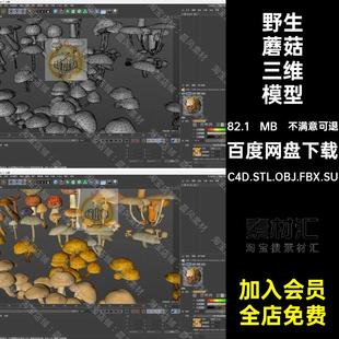 菌子蘑菇三维模型C4D文件植物OBJFBXC4D.STL.OBJ.FBX.SU野生Maya