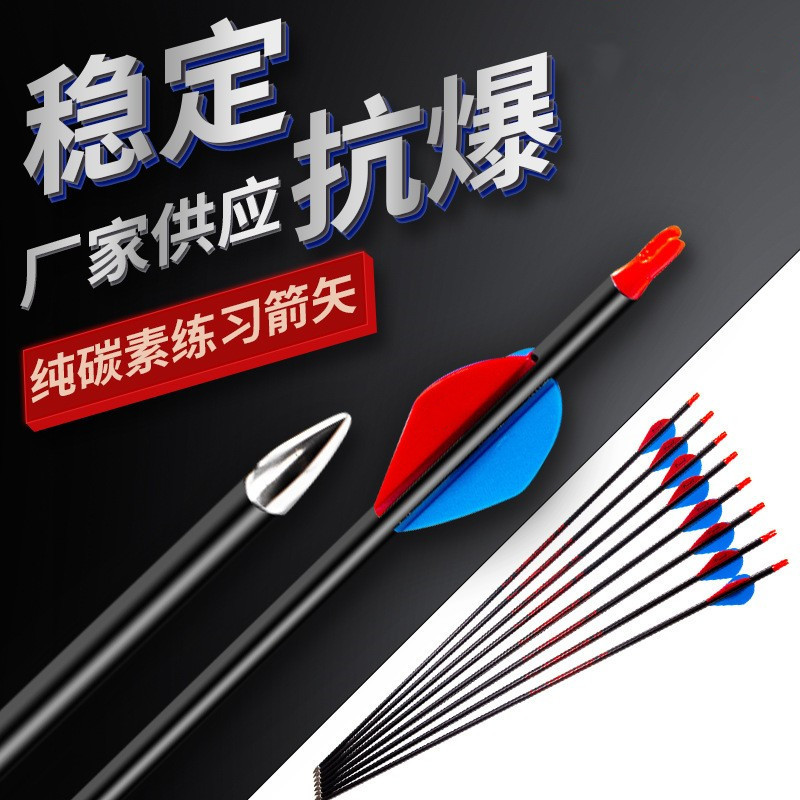 弓箭箭支户外箭头射箭金属练习箭复合反曲弓传统玻纤箭混碳真羽箭