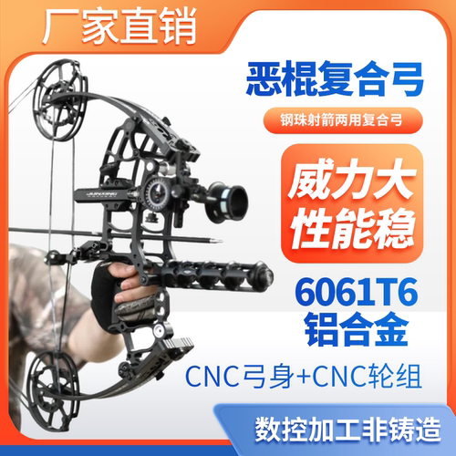 恶棍两用复合弓射箭弓箭套装