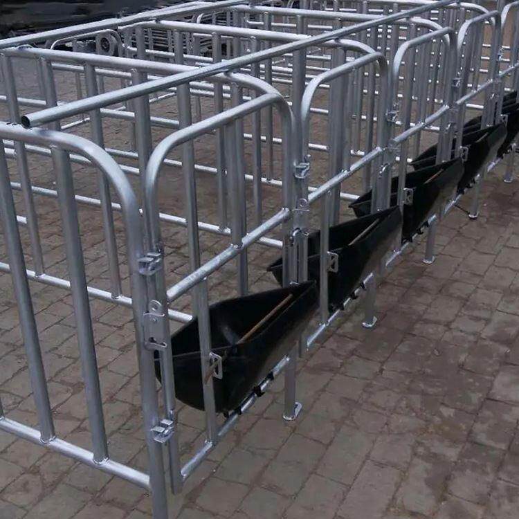 母猪限位栏 加厚定位栏 养猪场育肥舍圈栏