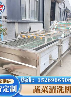 商用莴笋高淋喷果蔬清洗压机 芸备豆清洗设 小龙虾蔬菜气泡NWH清