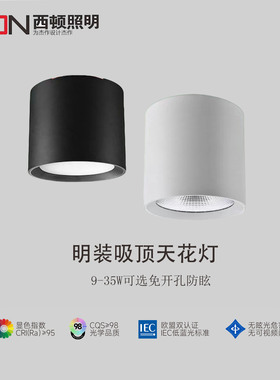 西顿照明LED明装射灯9W天花灯9101C-A吸顶筒灯15W书房CEX9101C-J