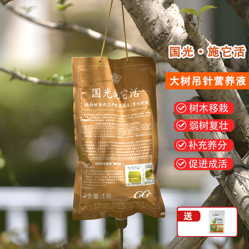 国光施它活树木吊针液大树营养液