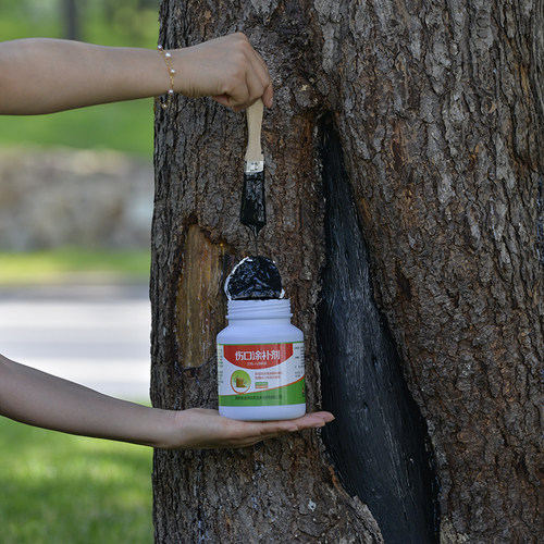 植物伤口愈合剂树皮修复愈伤膏