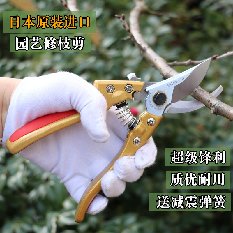 日本佐田园艺修枝剪家用修剪刀