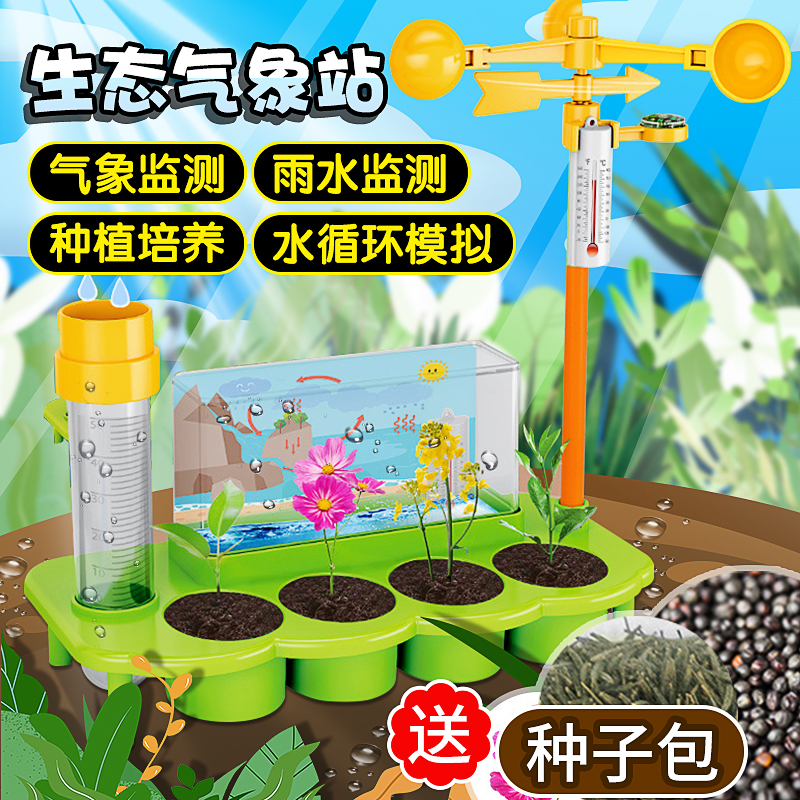 科学实验生态气象站植物模拟玩具