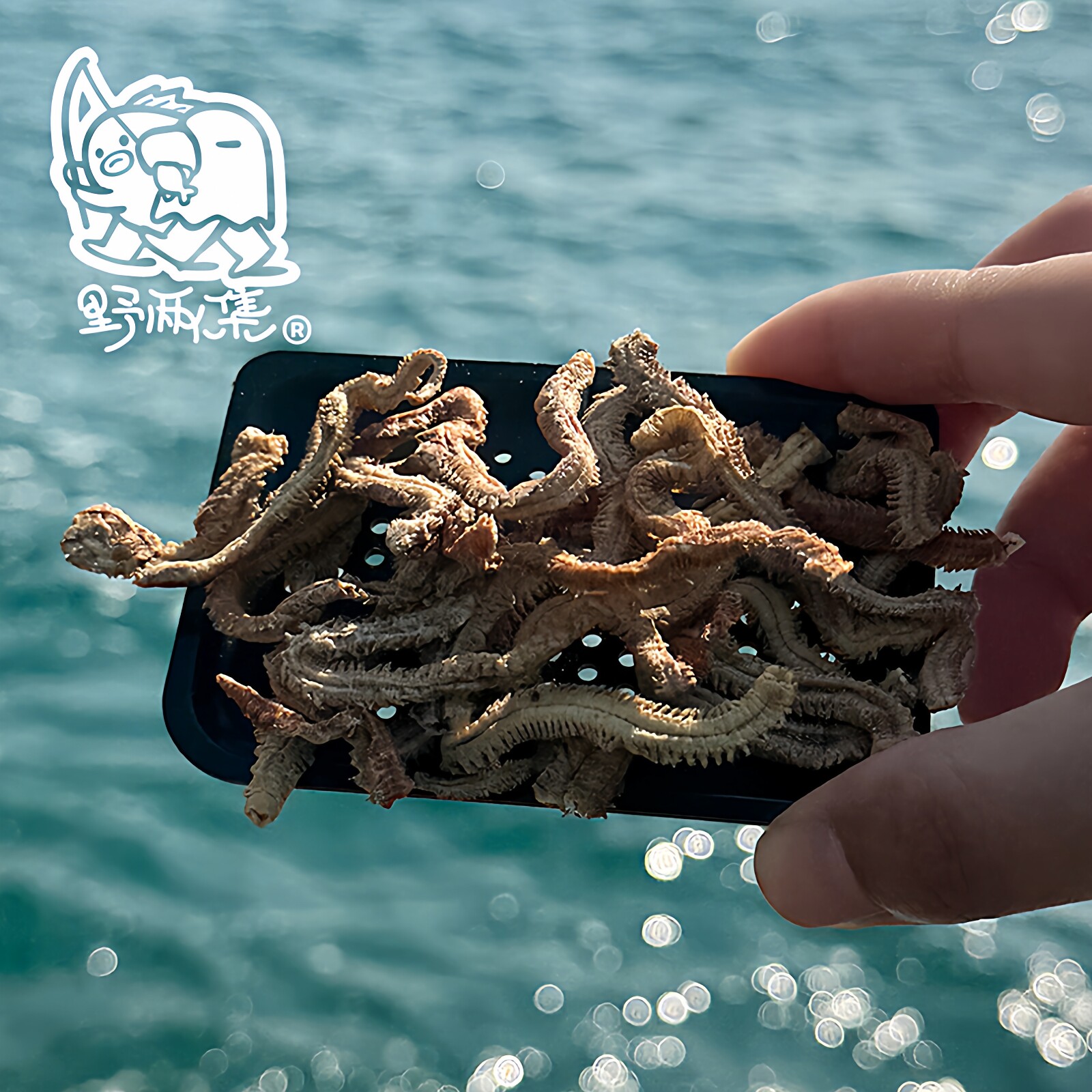 沙蚕干鱼饵沙虫红虫饵海蜈蚣饵路亚饵海速干海蚕蚯蚓红虫青虫鱼料
