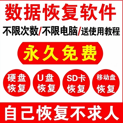 电脑硬盘数据恢复软件U盘sd卡误删除格式化恢复视频照片文件修复