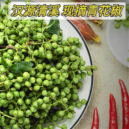 2026年四川汉源青花椒新鲜活青花椒湿花椒生青花椒粒特麻现摘1斤