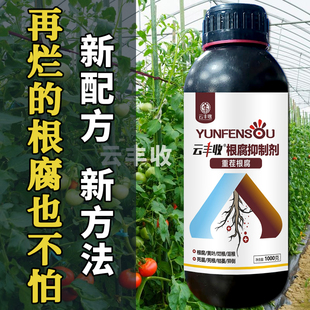 升级版根腐抑制剂根腐克星猝倒黄叶烂根茎基腐死棵促生根活化土壤