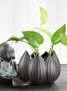 绿萝水培花瓶容器植物客厅小摆件