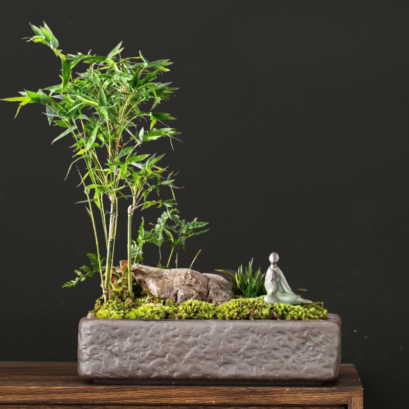 紫砂长方形盆景盆花盆陶瓷四方高档清仓特价宜兴简约马槽假山造景