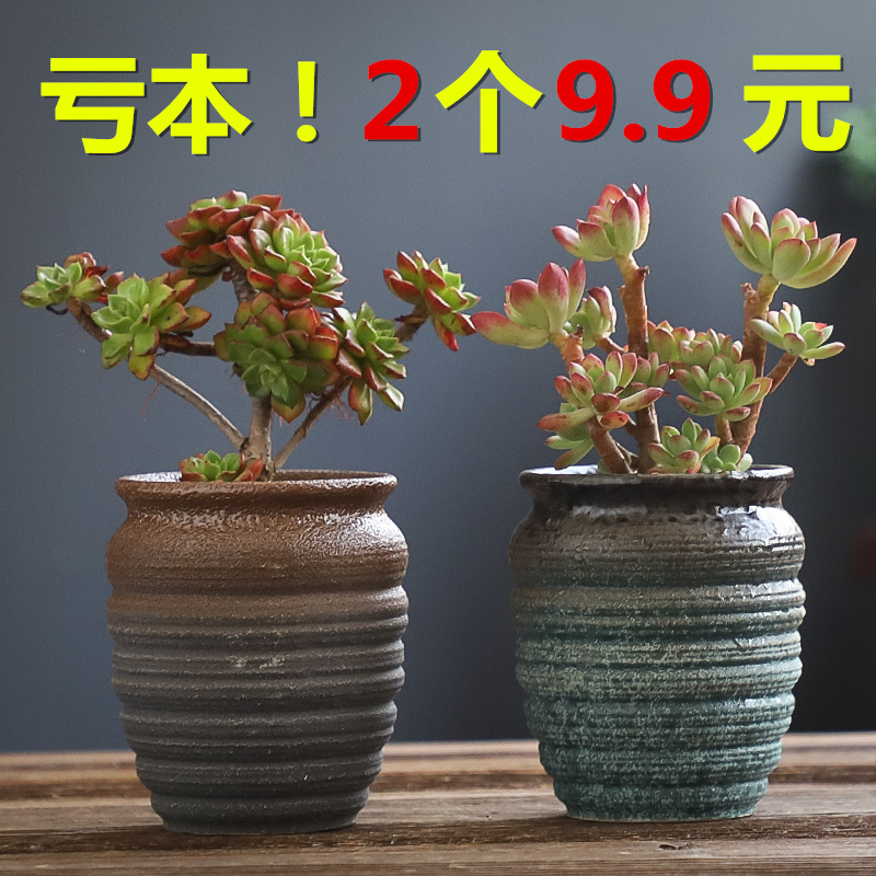 多肉花盆陶瓷大号口径老桩创意多肉植物特价清仓家用客厅装饰摆件