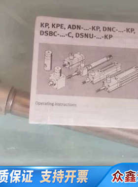 DSNU-16-100-PPV-A-KP自锁气缸(19398