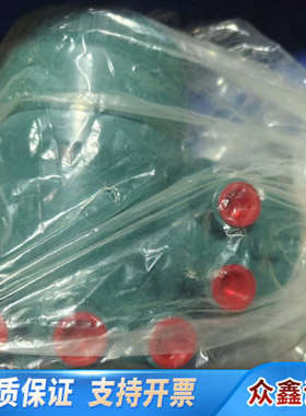 横河流量计分体表头AXW4A-CNF2111JA12/CH.议价