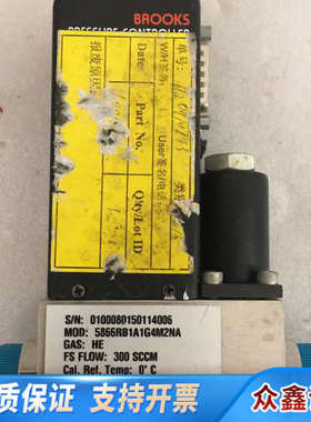 Brooks 5866RT流量计