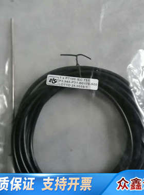 温度传感器1xPT100 IEC 751 P3.945-P3