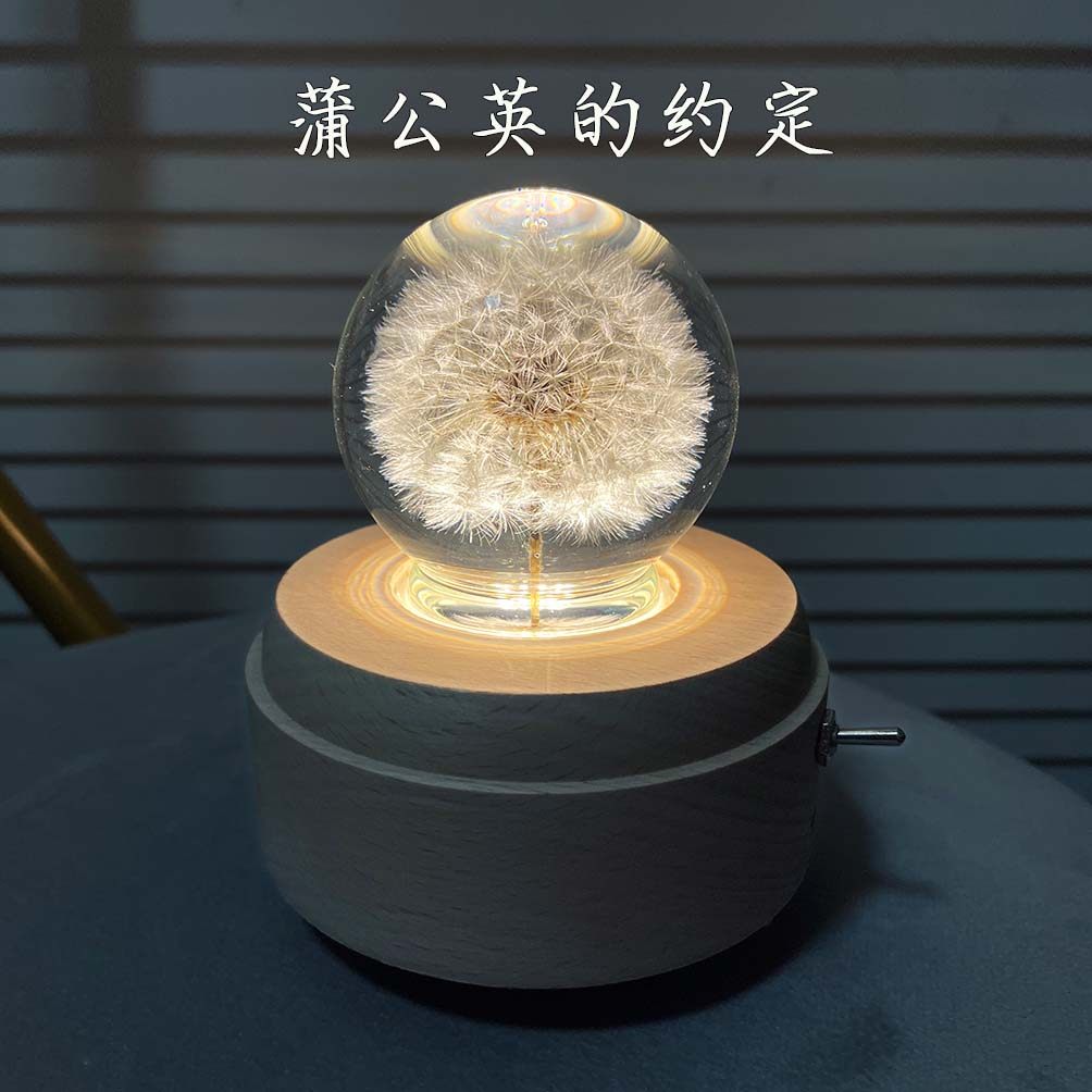 蒲公英水晶球音乐盒标本蒲公英的约定八音盒生日送男女朋友闺蜜