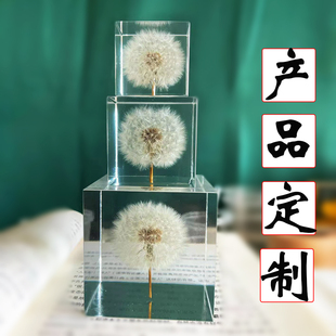 各种滴胶树脂标本植物蒲公英干花标本产品定制链接