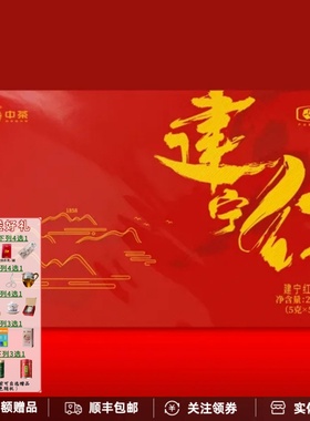 建宁工夫红茶PET塑料盒装XBT315独立小泡250g中茶海堤