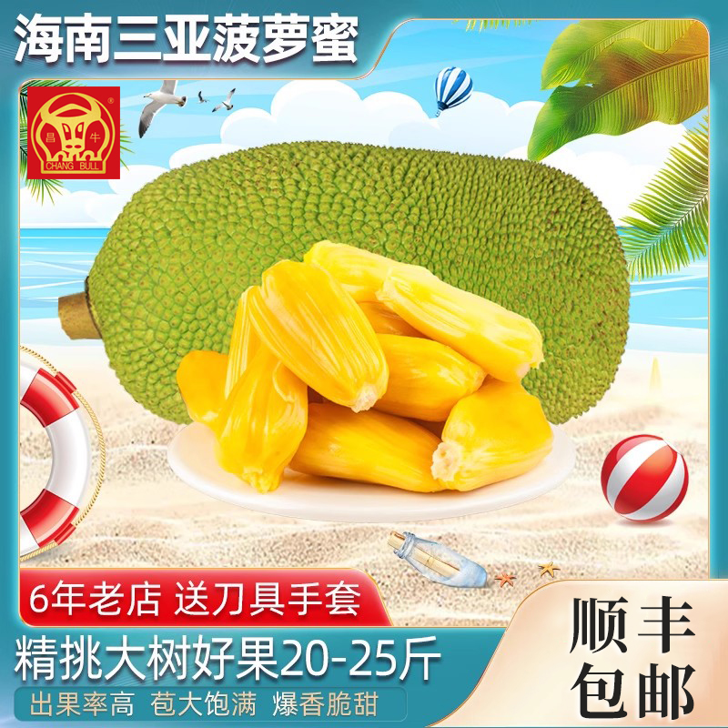 海南特产三亚菠萝蜜新鲜热带水果当季大树果18-25斤整个