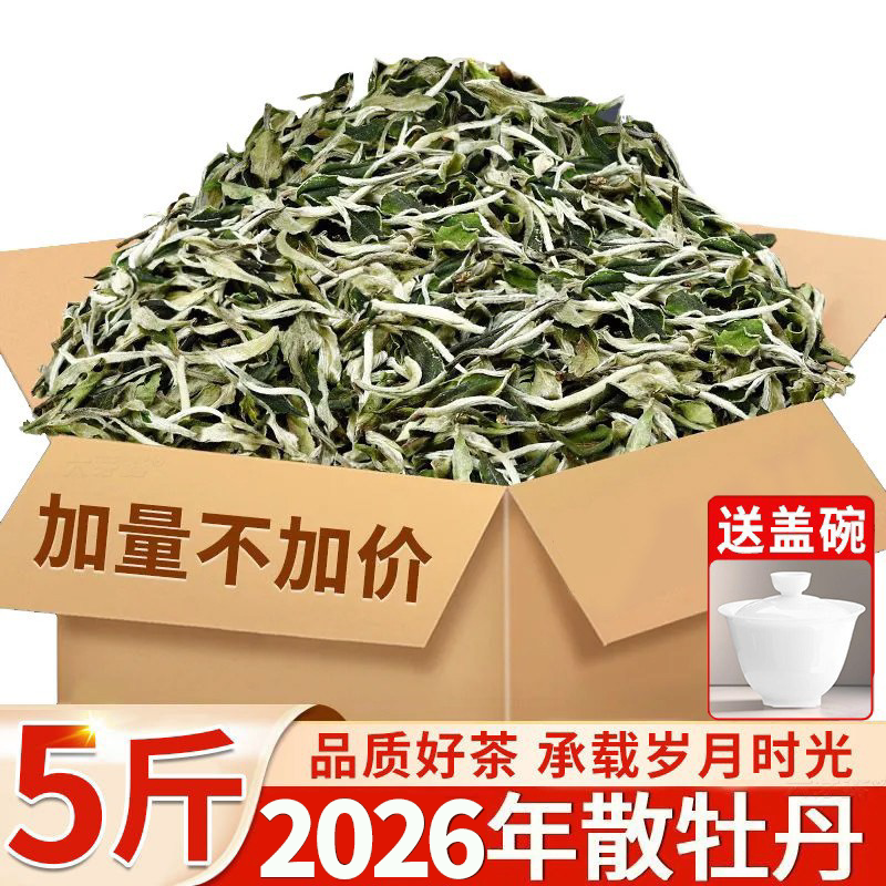 2026新茶福建正宗白茶花香白牡丹非贡眉散茶明前高山一级日晒茶叶