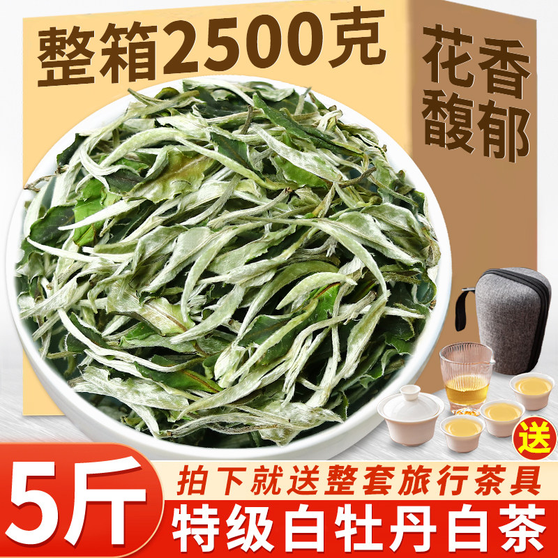 白茶2026特级福建高山明前白牡丹白茶非贡眉散茶正宗明前嫩茶叶