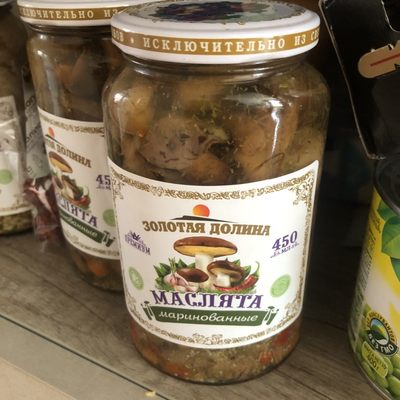 俄罗斯蘑菇罐头蔬菜罐头450克