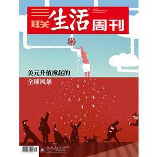 升值掀起 美元 2022年第49期1216 全球风暴 三联生活周刊