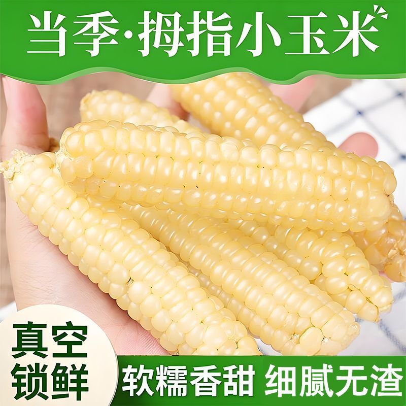 云南西双版纳老品种拇指小玉米