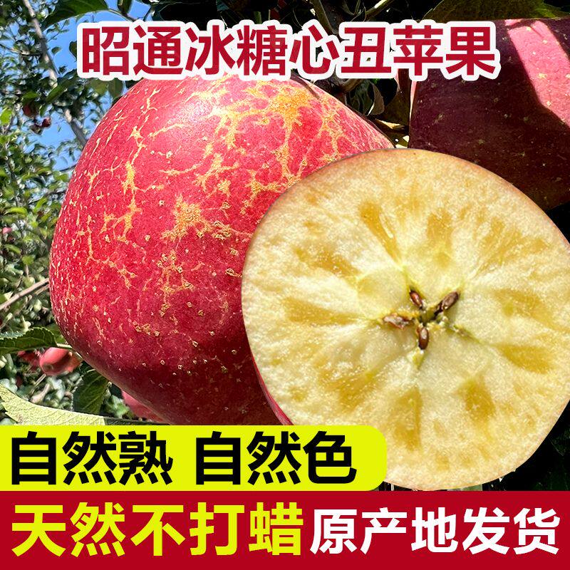 云南昭通红富士丑苹果