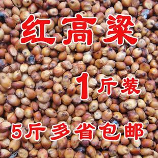 带壳红高粱 高粱米鹦鹉鸟食仓鼠零食/鸽食物 五斤全国包邮500G