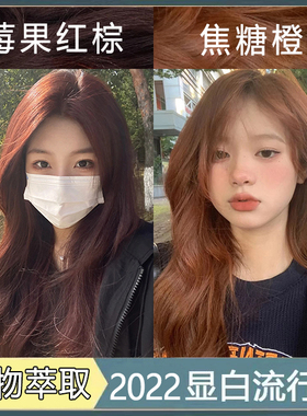 染发剂莓果红棕色漂植物黄黑皮纯显白2023秋冬发色染发膏焦糖橙色