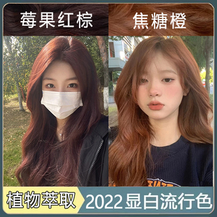 染发剂莓果红棕色漂植物黄黑皮纯显白2023秋冬发色染发膏焦糖橙色