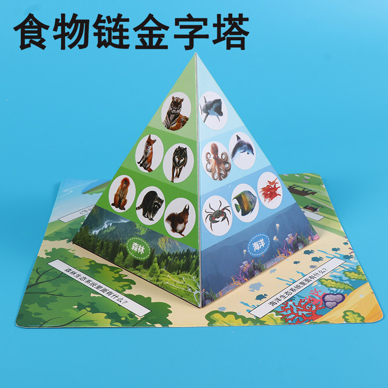 食物链金字塔幼儿园创新手工儿童diy小学生材料包科学小实验教具