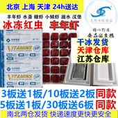 北水冷冻红虫冰冻血线虫水蚤糠鳞丰年虾汉堡七彩金鱼六角恐龙鱼食
