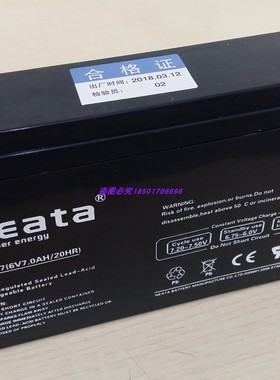 原装neata能特全新正品NT6-7.0免维护铅酸蓄电池儿童车专用6V7A