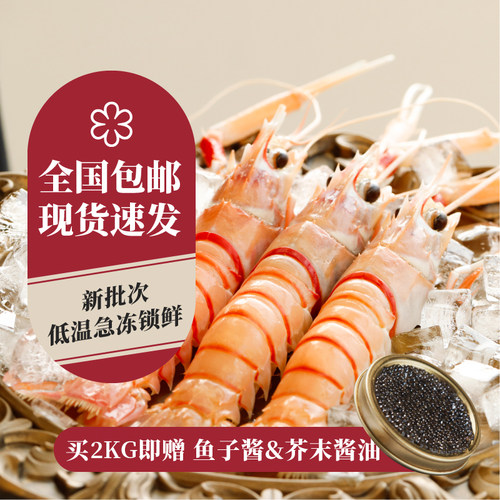 新西兰进口深海鳌虾1KG