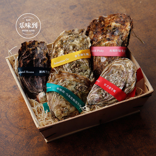 法国生蚝鲜活生蚝体验装5只装